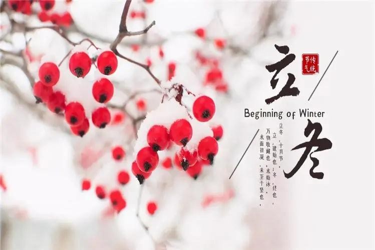 秋走冬又至，立冬啦